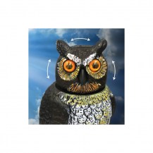 18406 - bobble-head-owl2
